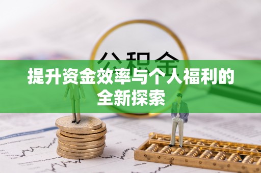 五指山提升资金效率与个人福利的全新探索
