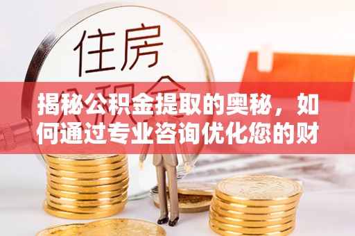 五指山揭秘公积金提取的奥秘，如何通过专业咨询优化您的财务规划