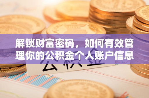 五指山解锁财富密码，如何有效管理你的公积金个人账户信息