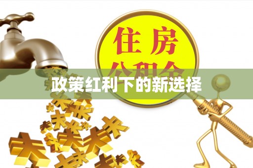 五指山政策红利下的新选择
