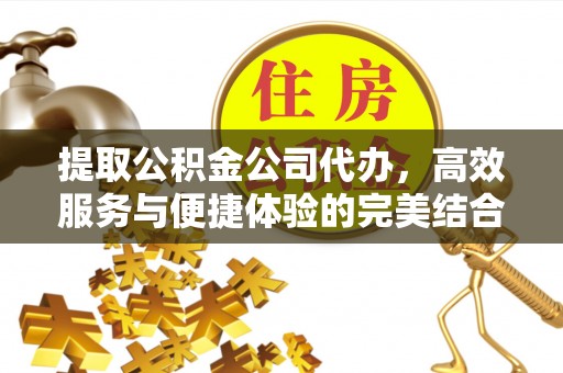 五指山提取公积金公司代办，高效服务与便捷体验的完美结合