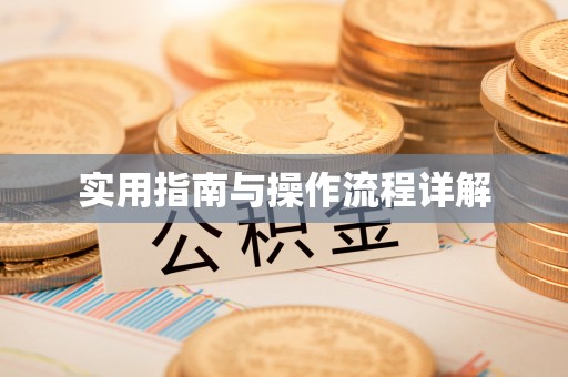 五指山实用指南与操作流程详解
