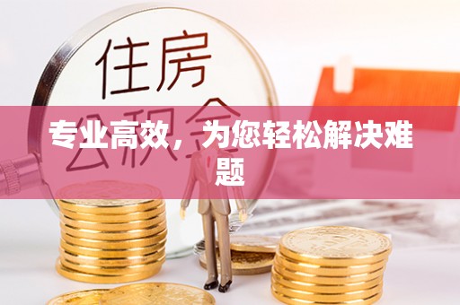 五指山专业高效，为您轻松解决难题