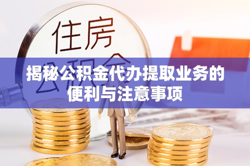 五指山揭秘公积金代办提取业务的便利与注意事项