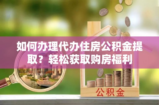 五指山如何办理代办住房公积金提取？轻松获取购房福利