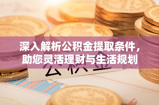 五指山深入解析公积金提取条件，助您灵活理财与生活规划