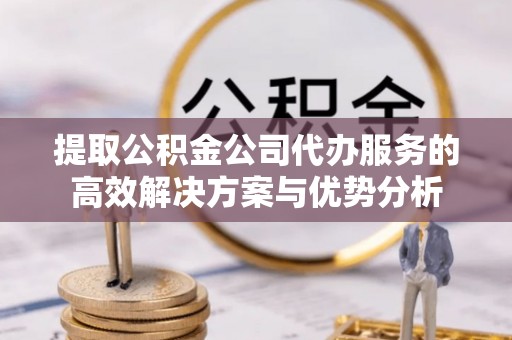 五指山提取公积金公司代办服务的高效解决方案与优势分析