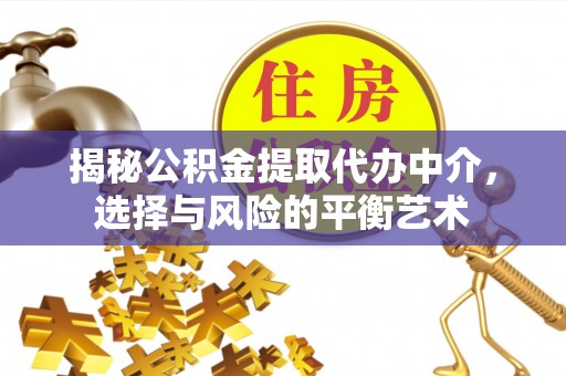 五指山揭秘公积金提取代办中介，选择与风险的平衡艺术