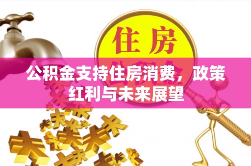 五指山公积金支持住房消费，政策红利与未来展望