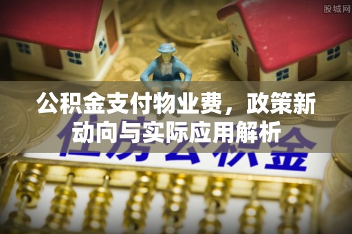 五指山公积金支付物业费，政策新动向与实际应用解析