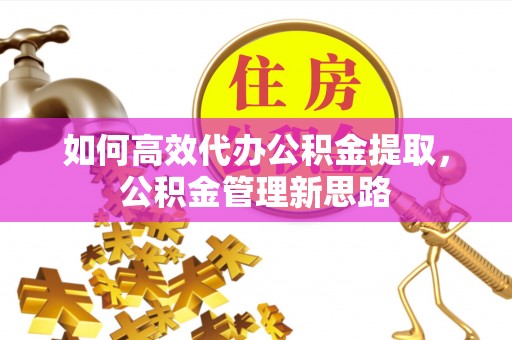 五指山如何高效代办公积金提取，公积金管理新思路
