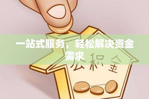五指山一站式服务，轻松解决资金需求