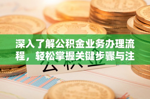 五指山深入了解公积金业务办理流程，轻松掌握关键步骤与注意事项